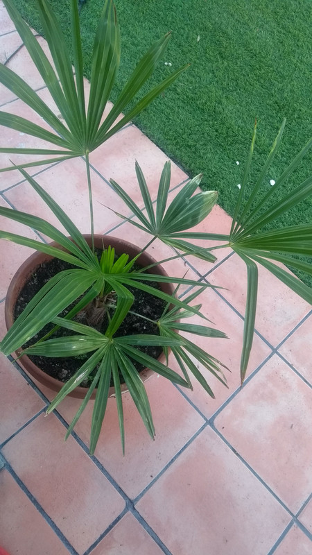 IMG-20191228-151940730.jpg
