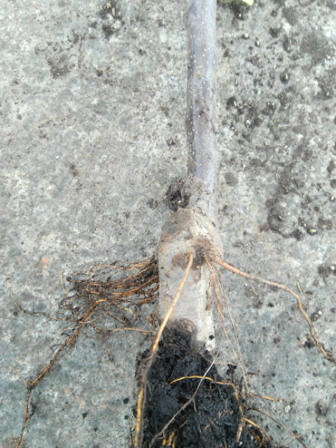 IMG-20200119-134445.png