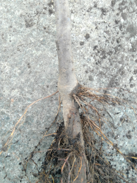 IMG-20200119-134455.png
