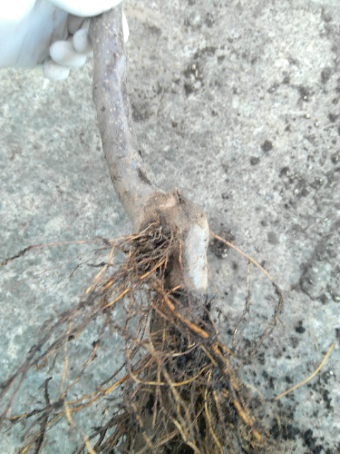 IMG-20200119-134501.png