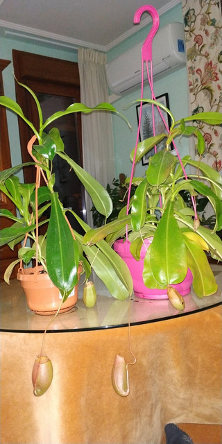 IMG-20200124-220843.jpg