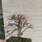 IMG-20200126-103145.jpg