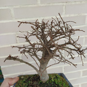 IMG-20200126-103220.jpg