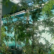 IMG-20200202-163046105-HDR.jpg