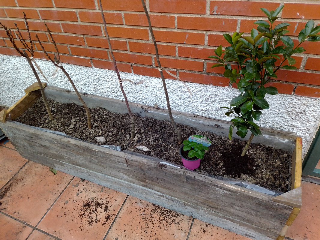 IMG-20200207-162200-1.jpg