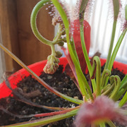 IMG-20200210-174821.jpg
