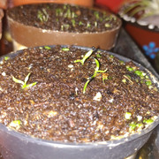 IMG-20200213-212349.jpg