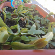 IMG-20200221-135416.jpg