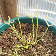 IMG-20200225-122705.jpg