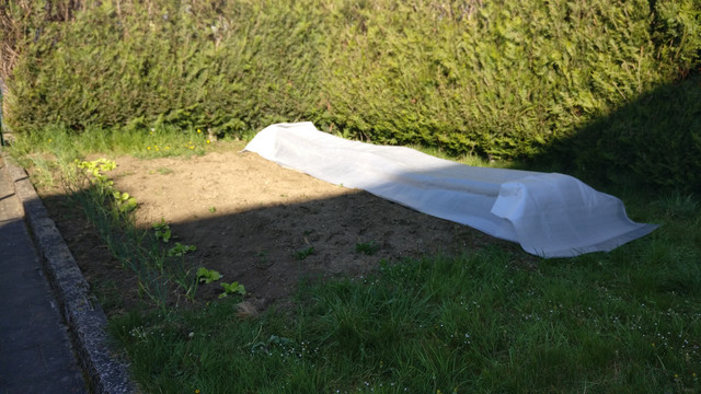 IMG-20200420-092146.jpg