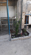 IMG-20200831-WA0005.jpg