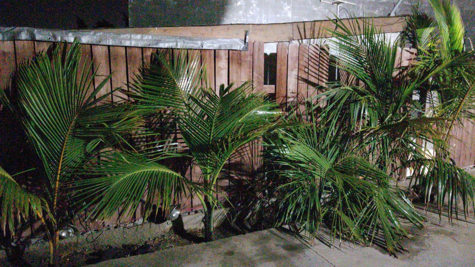IMG-20200904-WA0168.jpe