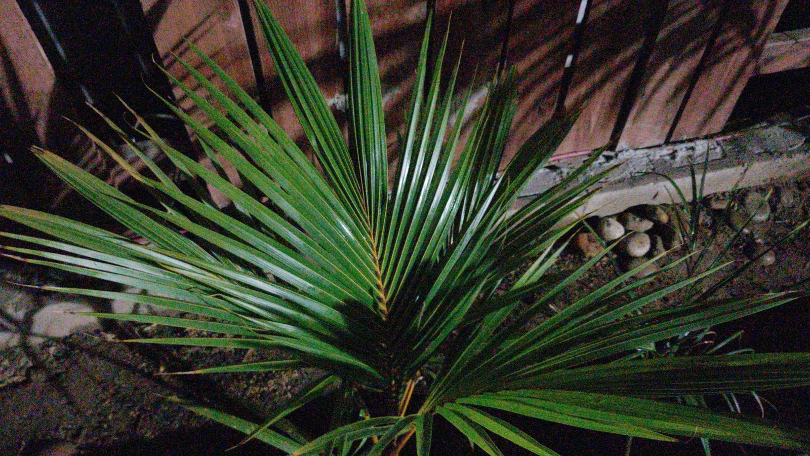 IMG-20200904-WA0174.jpe