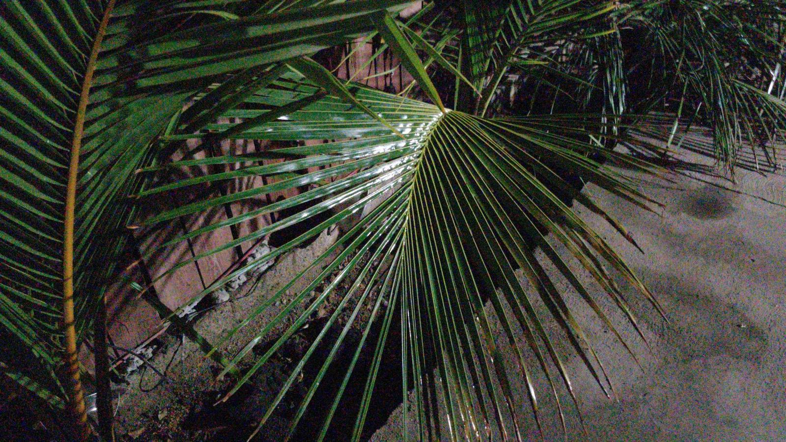 IMG-20200904-WA0175.jpe