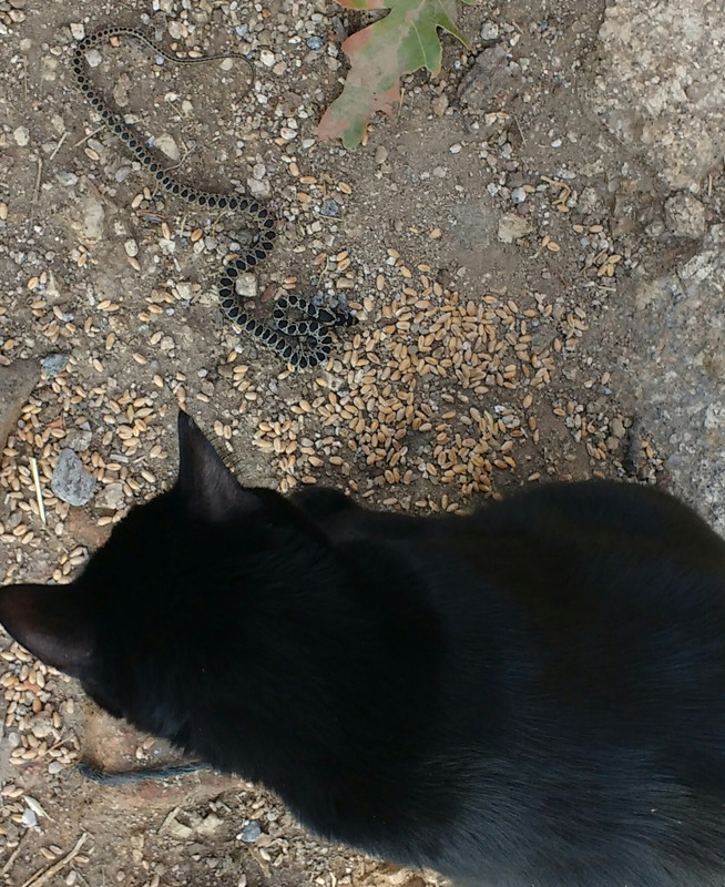 IMG-20200925-212645.jpg
