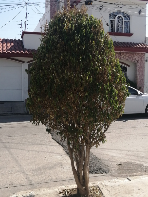 IMG-20201015-143159.jpg