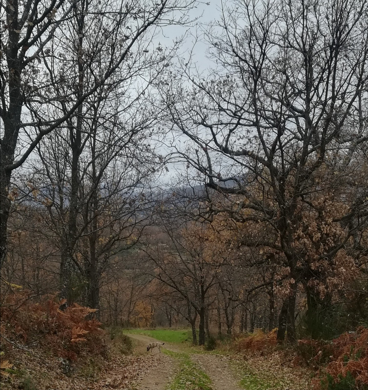 IMG-20201213-184534.jpg