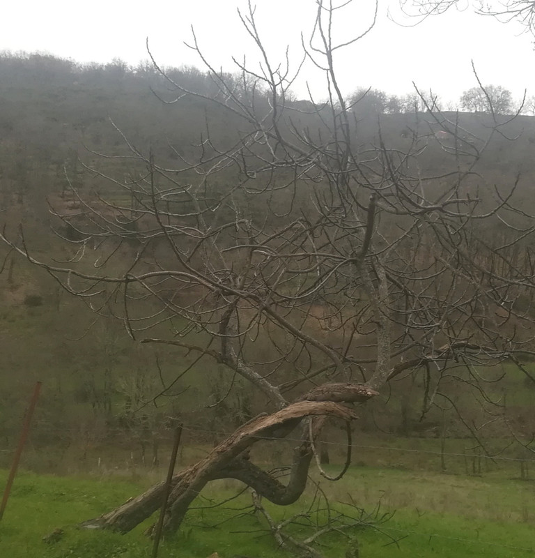 IMG-20201222-185437.jpg