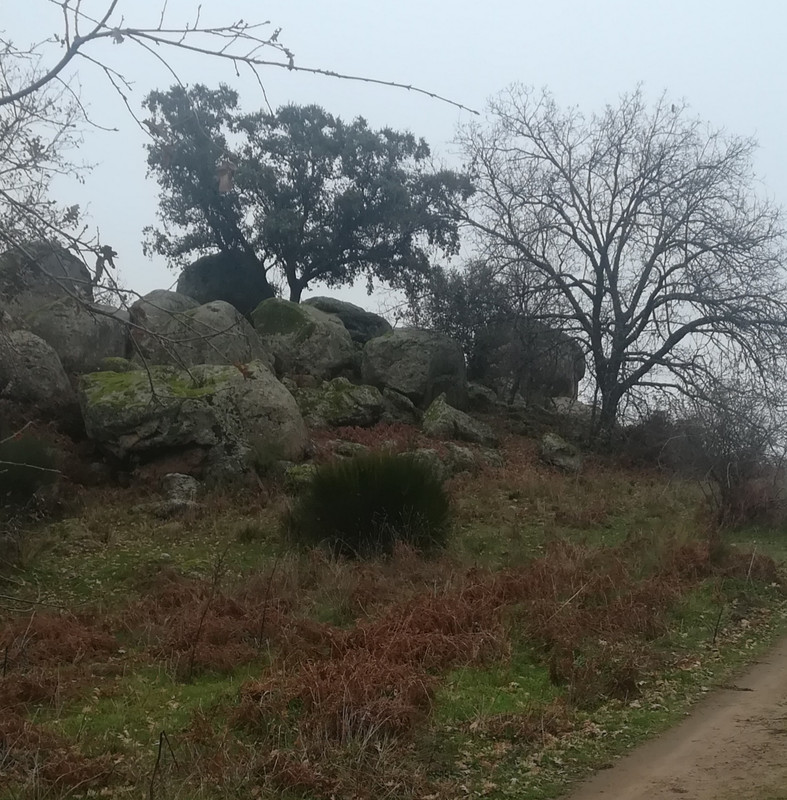 IMG-20201222-215554.jpg