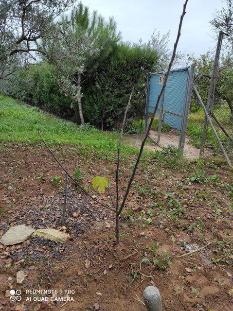 IMG-20201223-094216.jpg