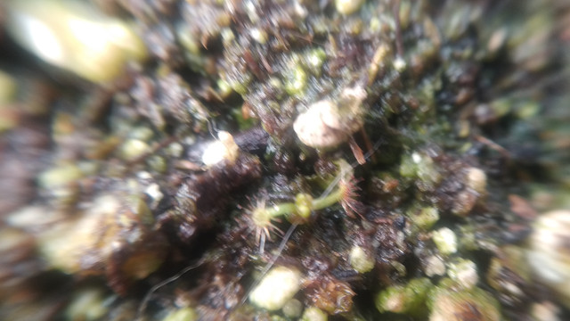 IMG-20201224-100944.jpg