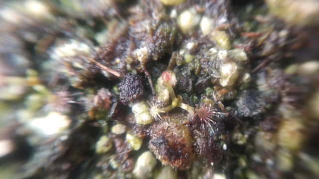 IMG-20201224-101011.jpg