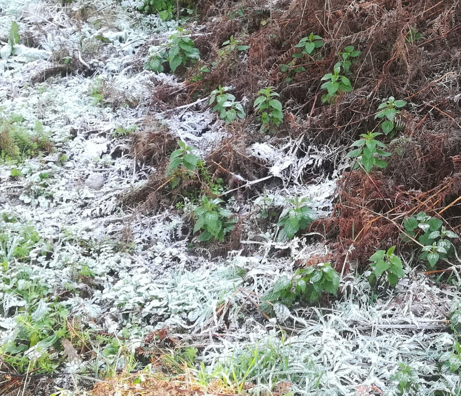 IMG-20201227-143942-1.jpg