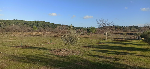 IMG-20210130-164939.jpg