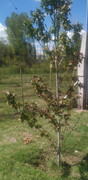 IMG-20210202-154329.jpg