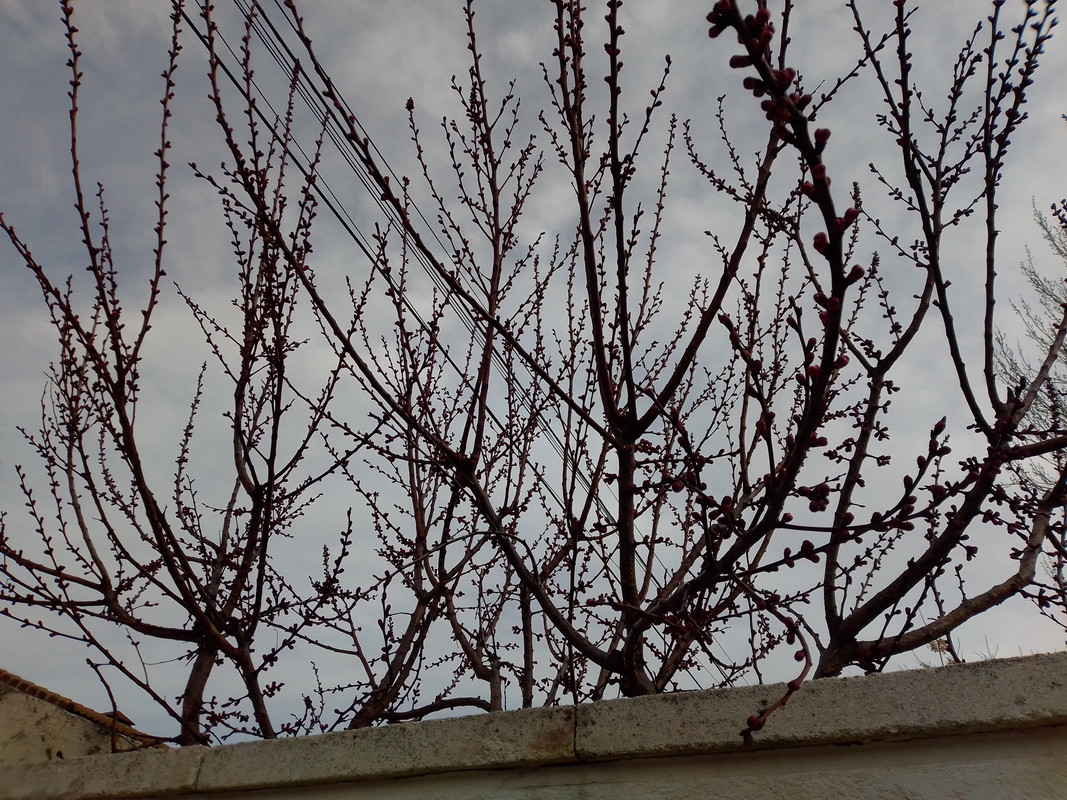 IMG-20210216-163722.jpg