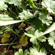 IMG-20210224-123225.jpg