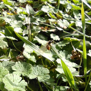 IMG-20210224-123252.jpg