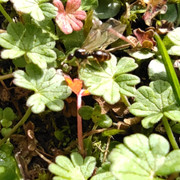 IMG-20210224-123348.jpg