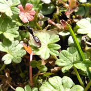 IMG-20210224-123356.jpg