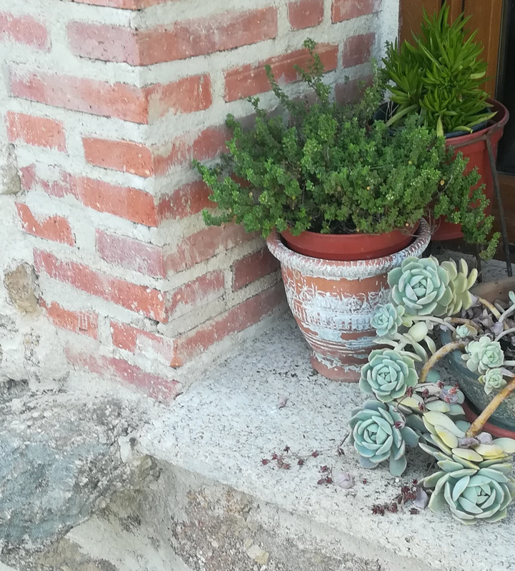 IMG-20210704-190956.jpg