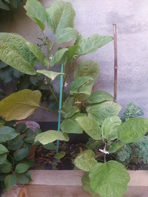 IMG-20210713-090843.jpg