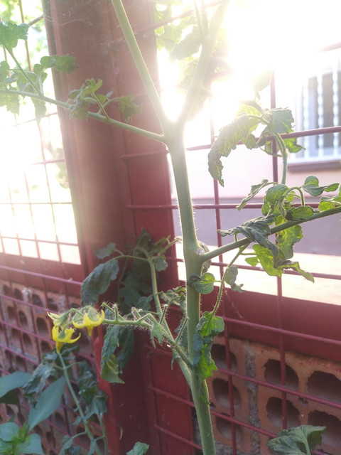 IMG-20210713-090914.jpg