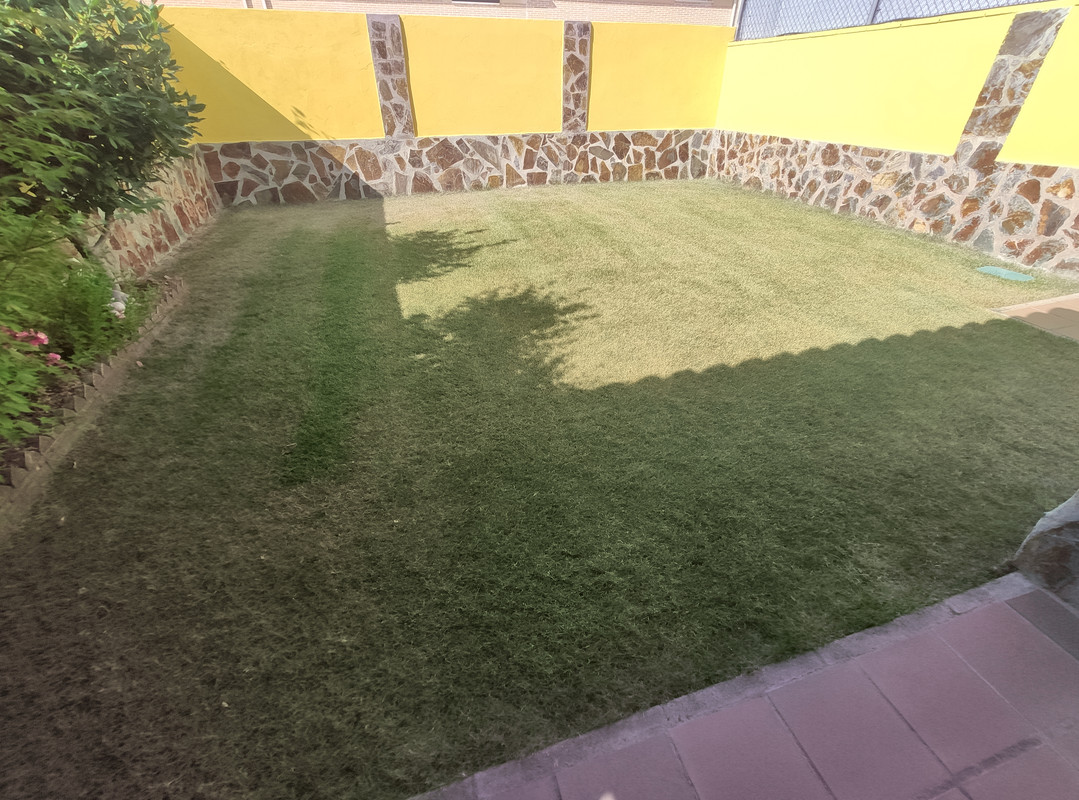 IMG-20210731-174802.jpg