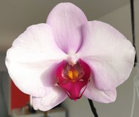IMG-20210904-085748-2.jpg