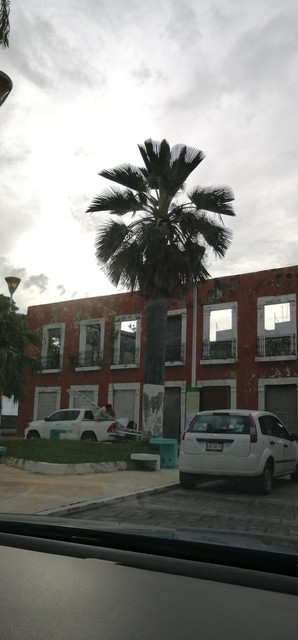 IMG-20210910-180103.jpg