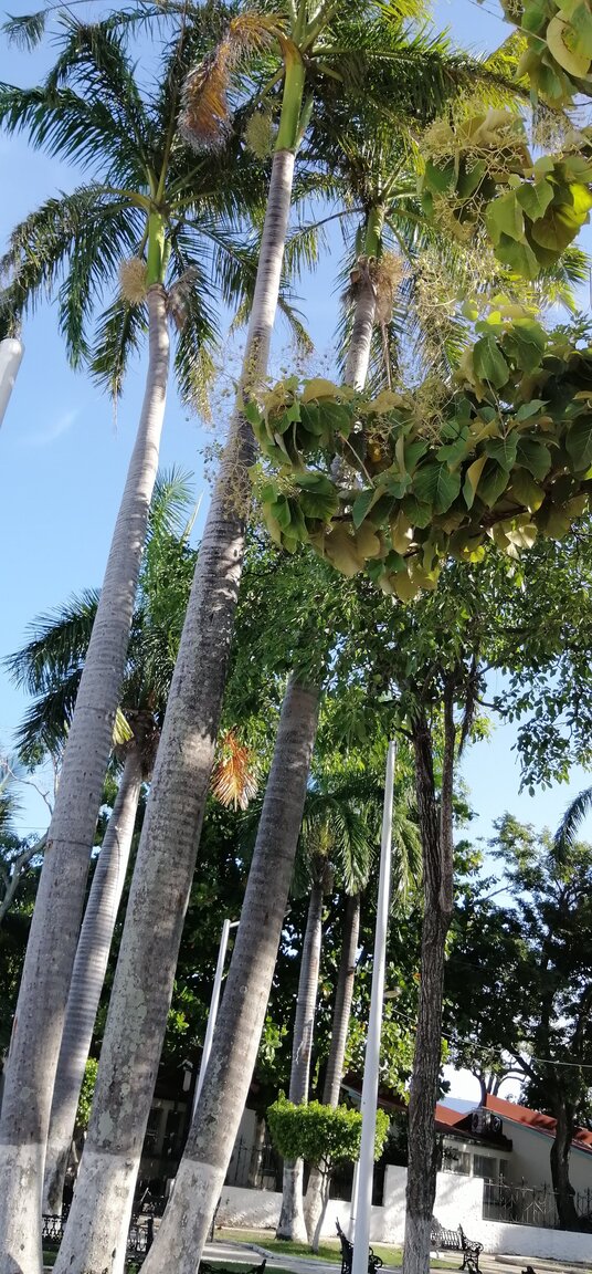 IMG-20210914-171741.jpg