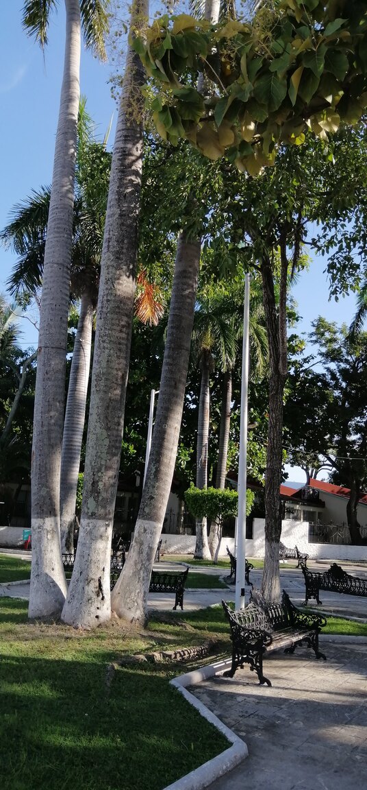 IMG-20210914-171746.jpg
