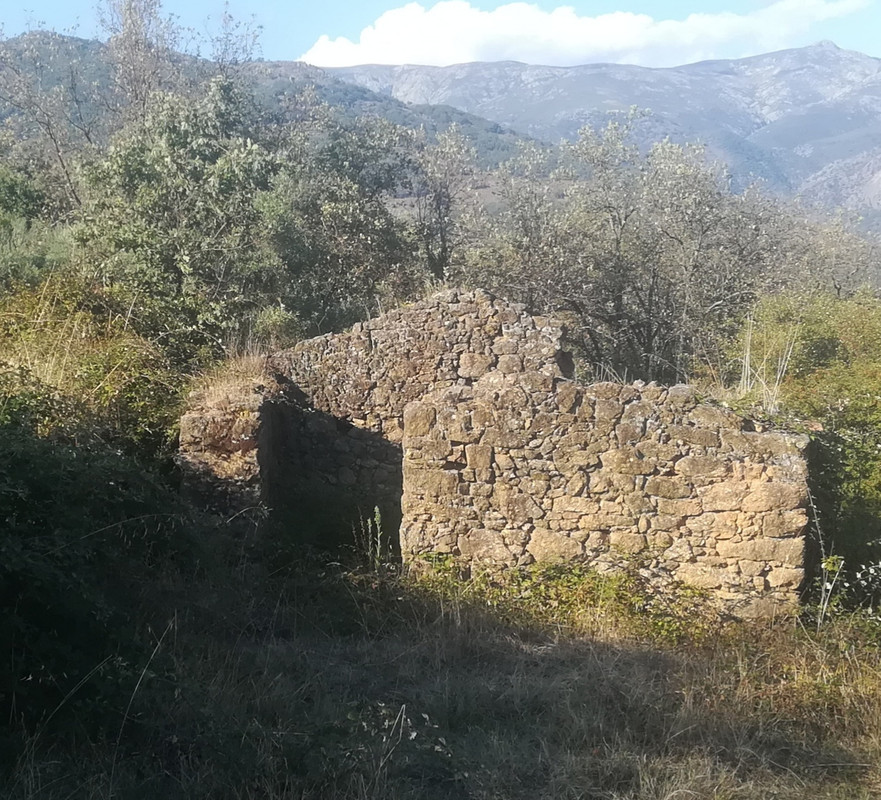 IMG-20210917-185222.jpg