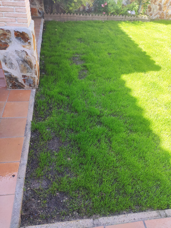 IMG-20210928-142816.jpg