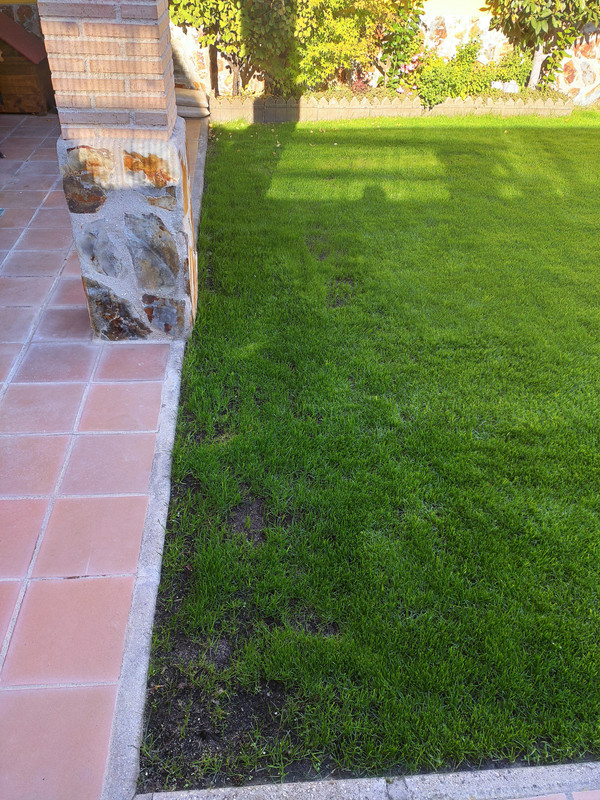 IMG-20211013-102512.jpg