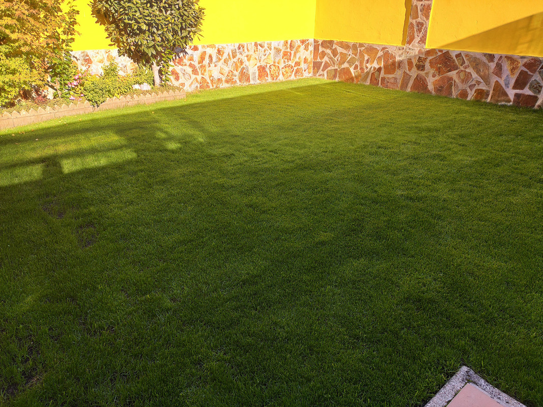 IMG-20211013-102519.jpg