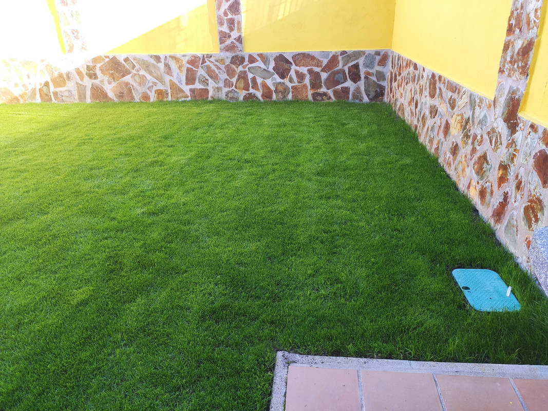 IMG-20211013-102522.jpg