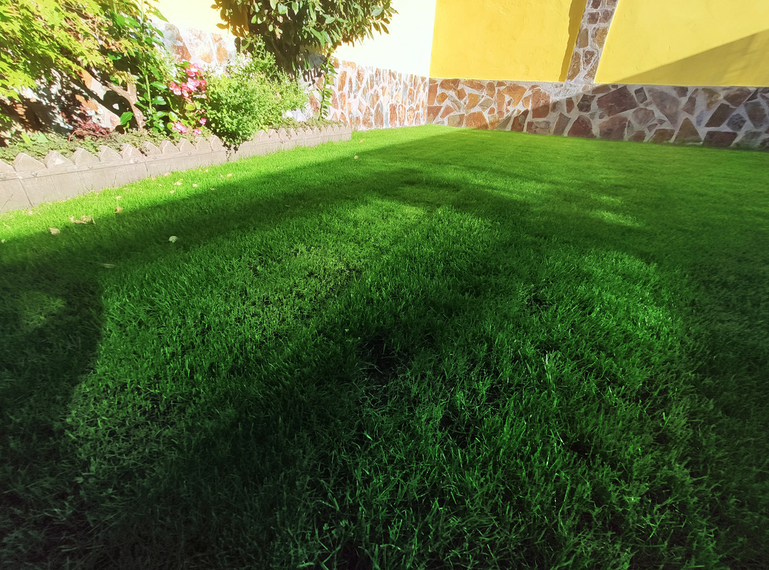 IMG-20211013-102613.jpg