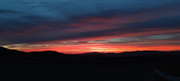 IMG-20211018-193936.jpg