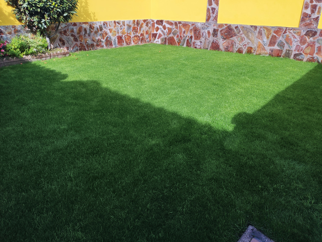 IMG-20211021-125005.jpg
